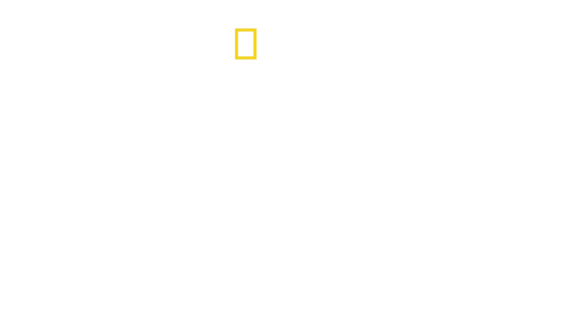 Måltid för hajar