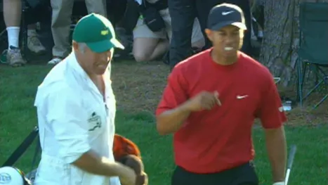 thumbnail - 2005 Tiger Woods