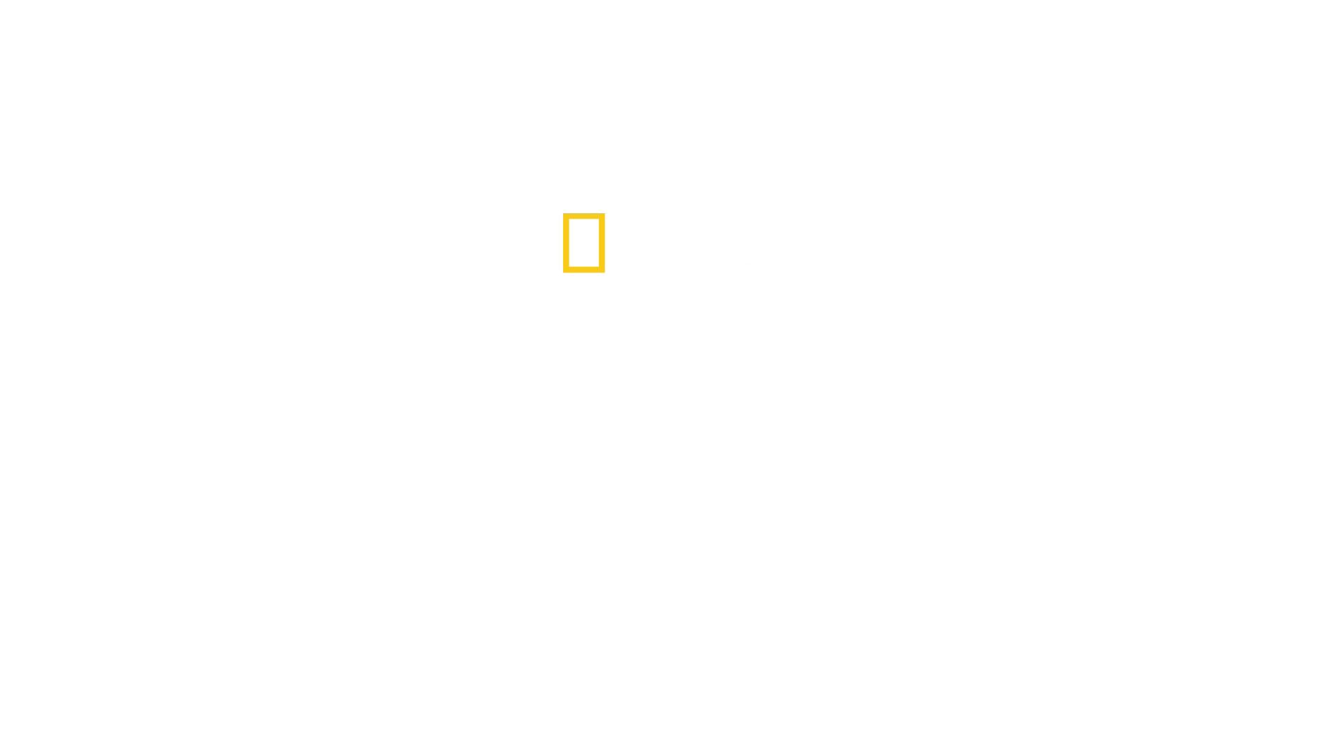 Žmurknutie