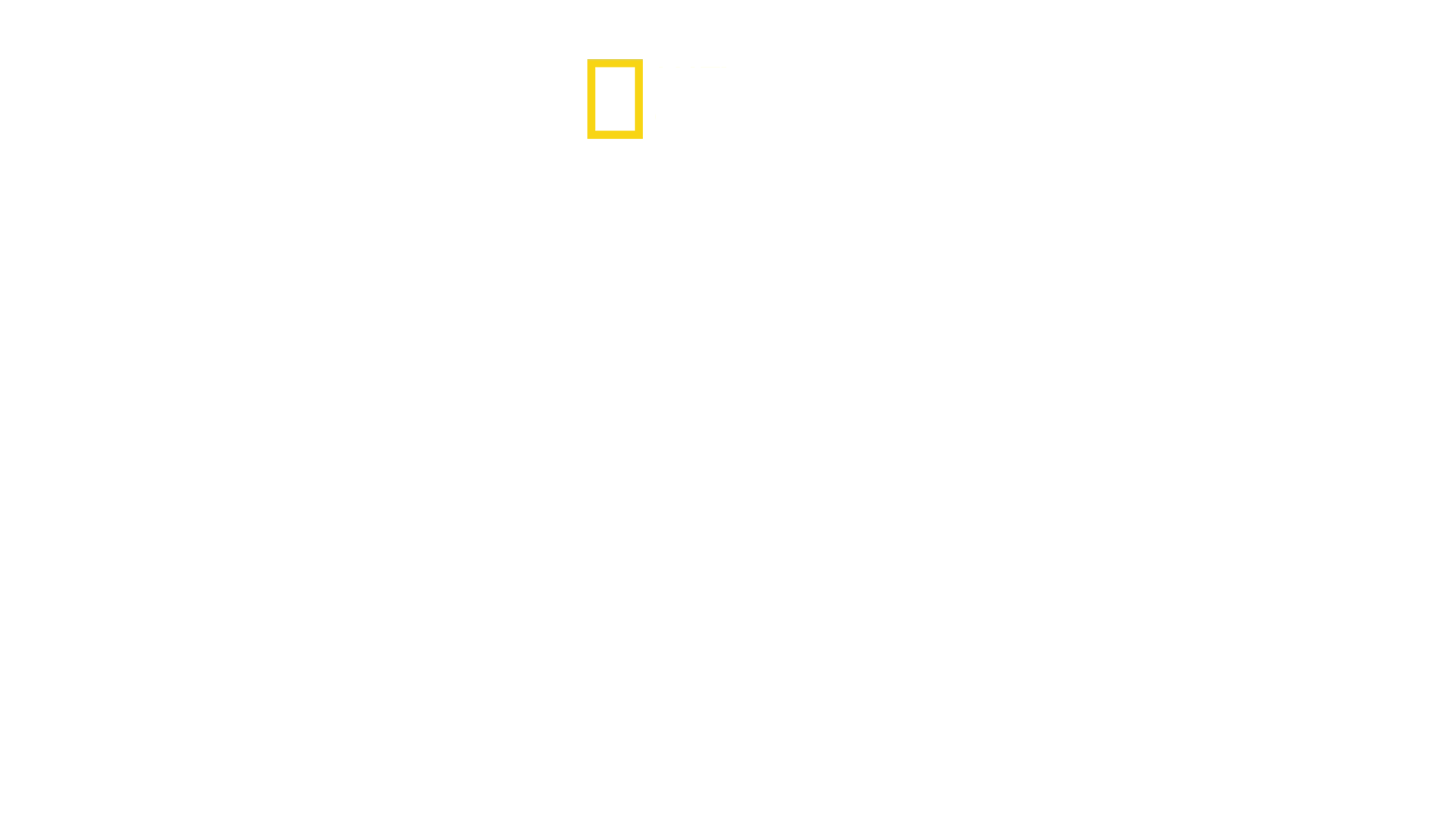 Beyond Magic with DMC