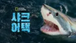 thumbnail - 샤크 어택