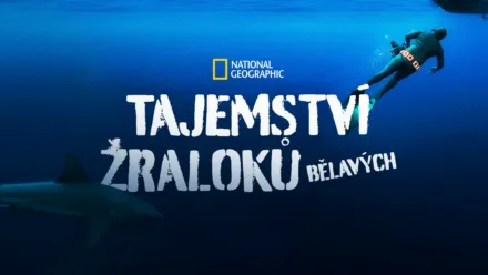 thumbnail - Tajemství žraloků bělavých