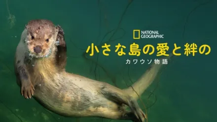 thumbnail - Billy & Molly: An Otter Love Story