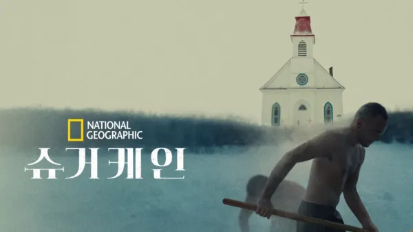 thumbnail - 슈거케인