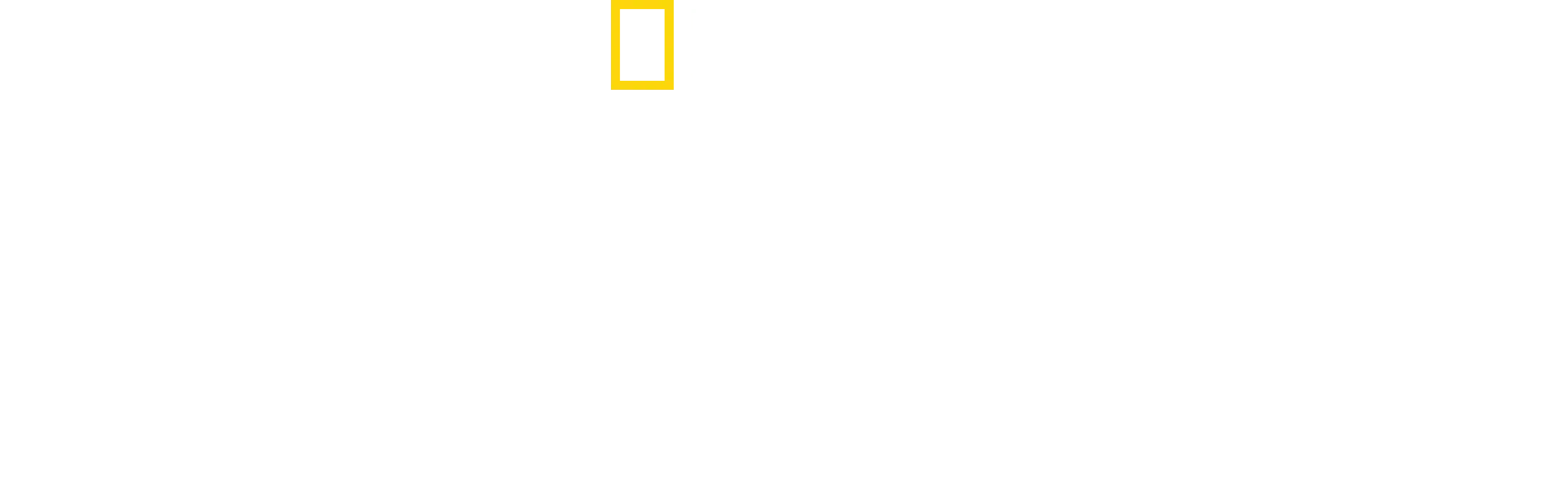 La clinique des animaux exotiques