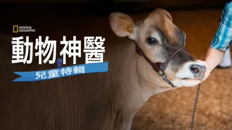 thumbnail - 動物神醫：兒童特輯