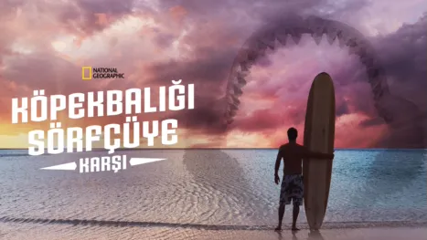 thumbnail - Köpekbalığı Sörfçüye Karşı