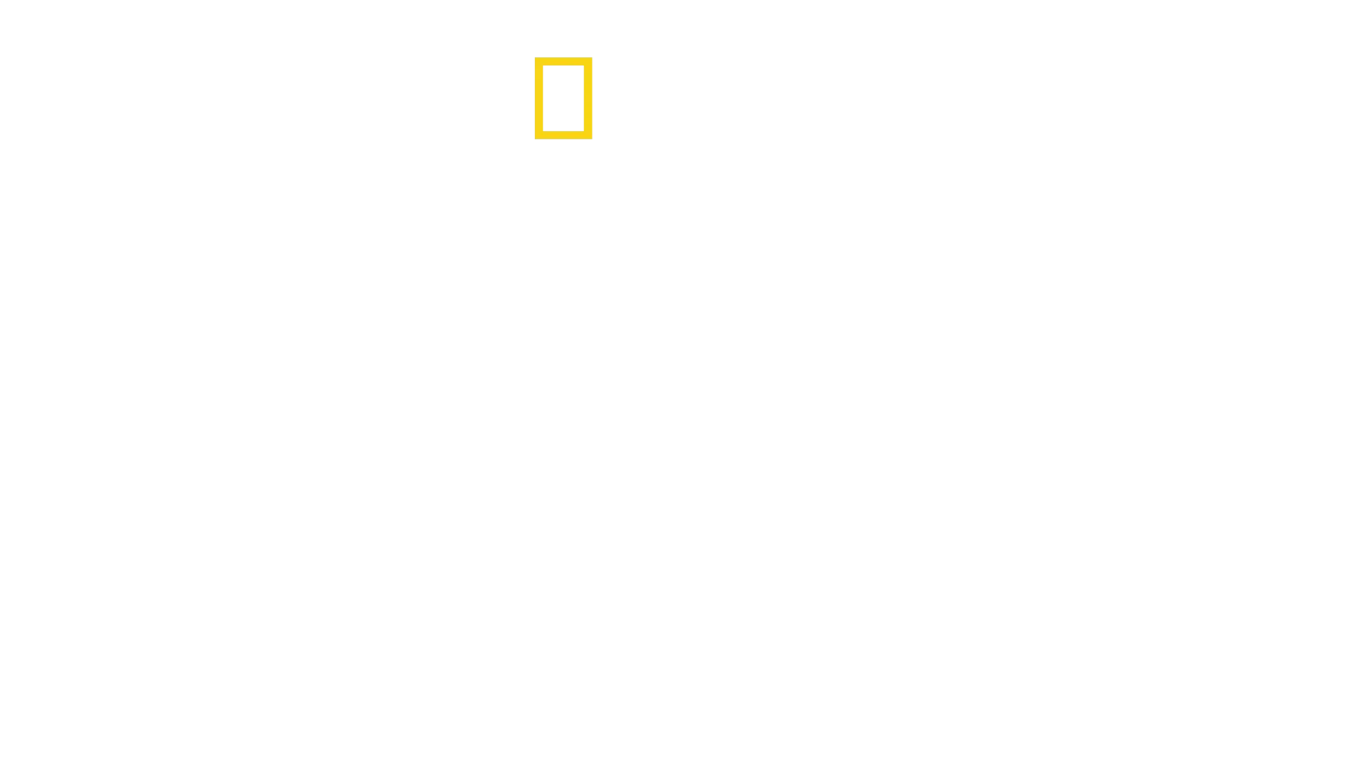 Expedição Amazónia