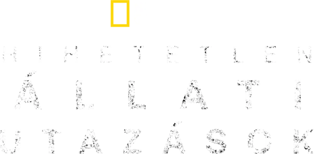 Az állatok hihetetlen útja