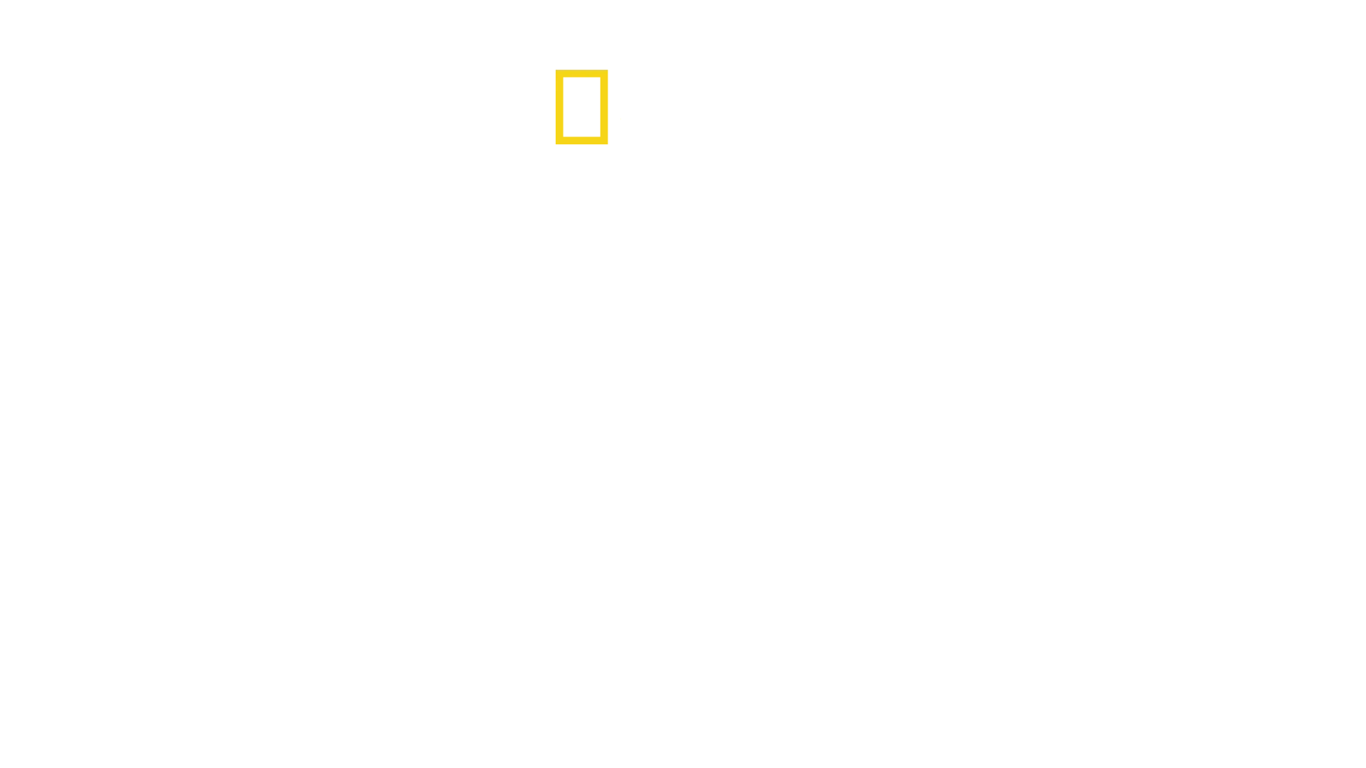 Bastidores da Coreia do Norte: A Dinastia Kim