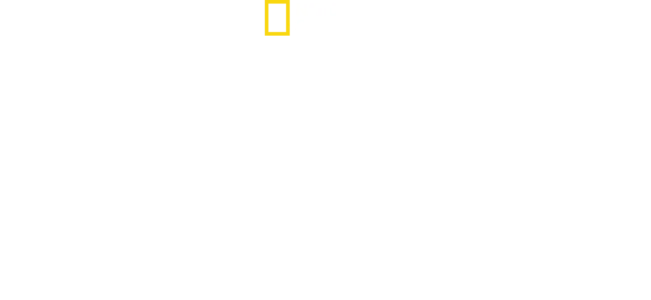 Bastidores da Coreia do Norte: A Dinastia Kim