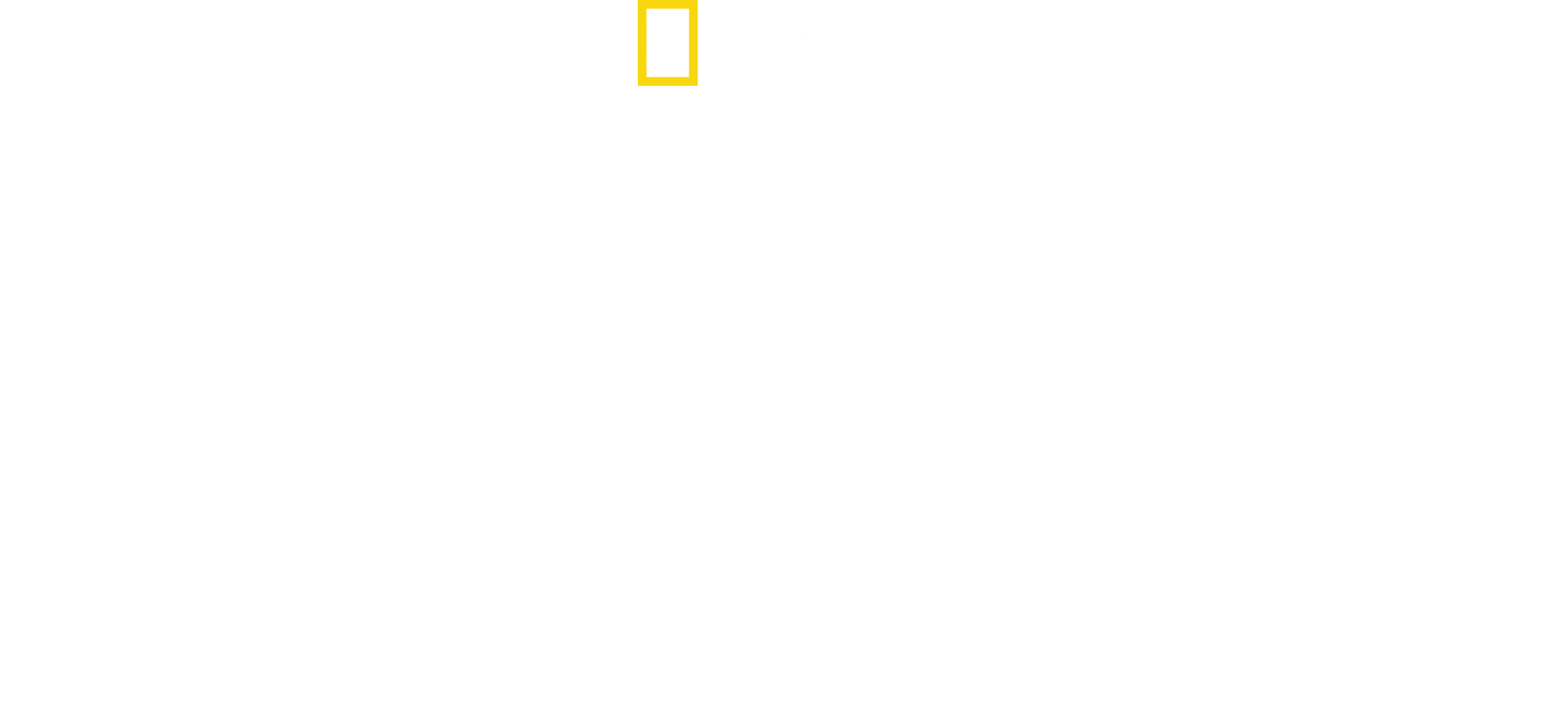 Bastidores da Coreia do Norte: A Dinastia Kim