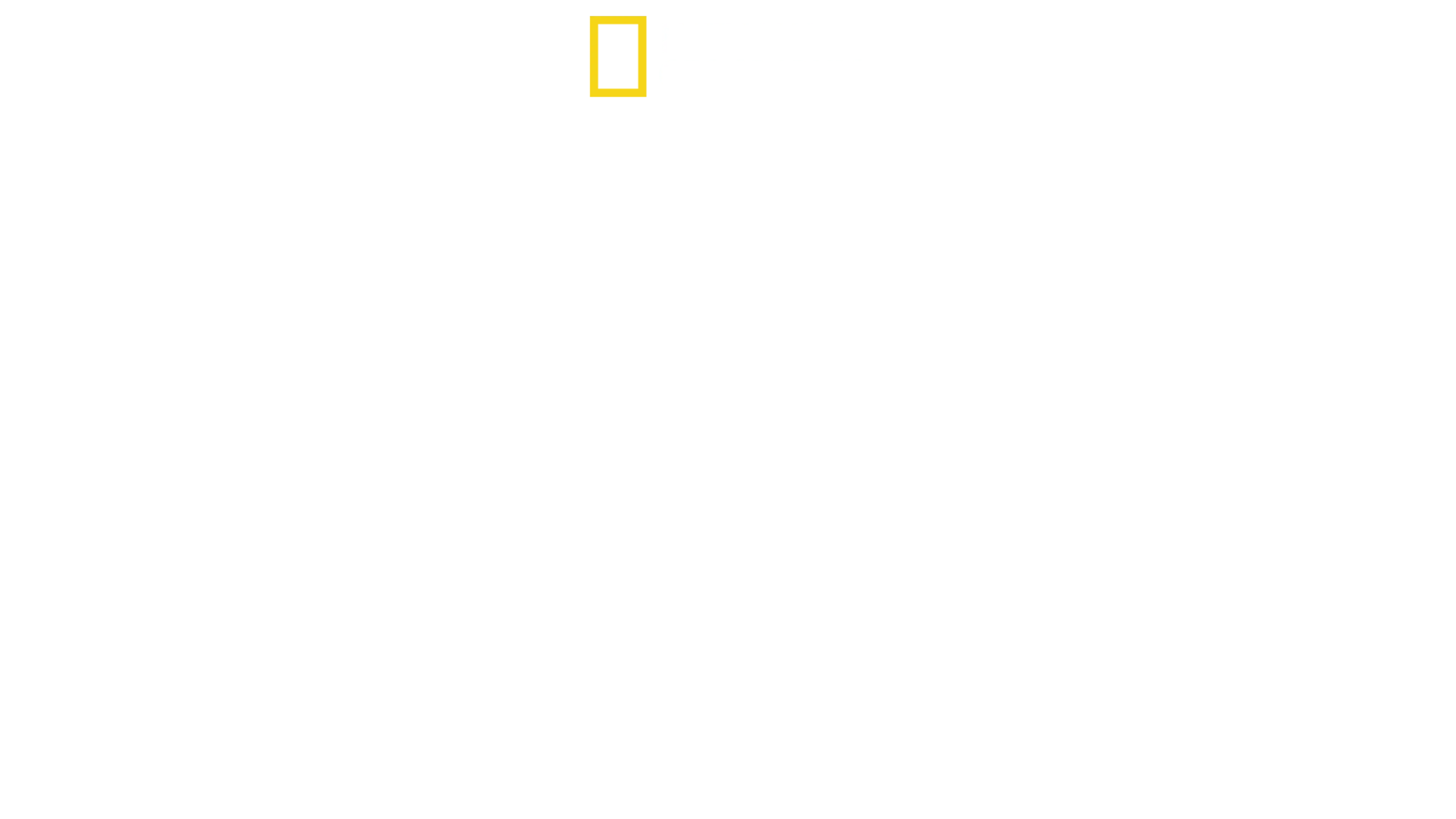 空中英雄：美國第八航空隊