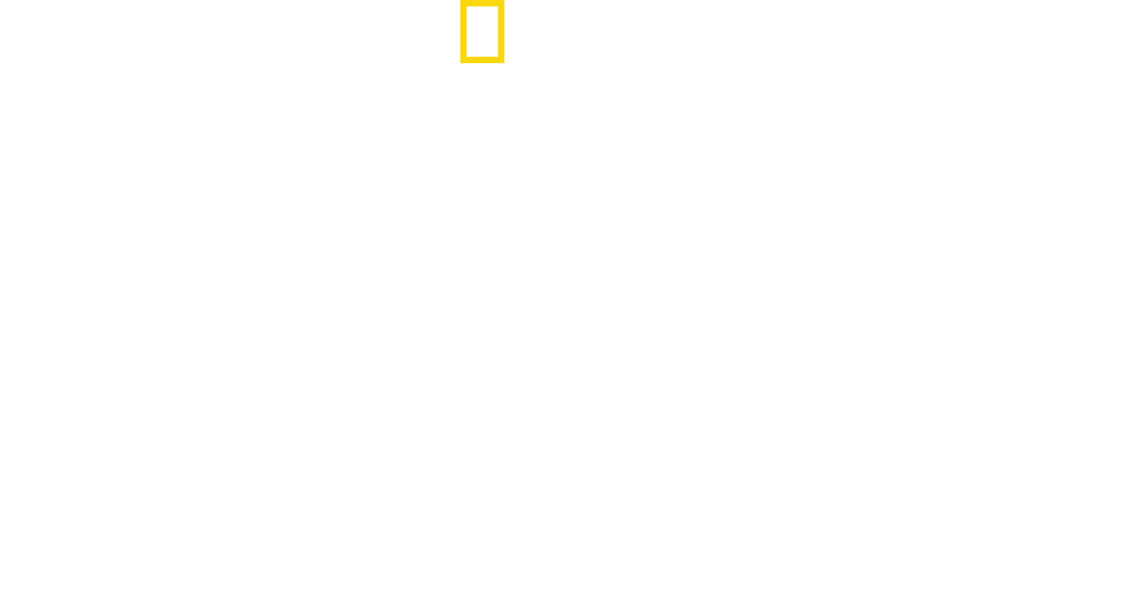 空中英雄: 美國第八航空隊