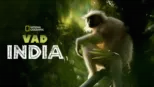 thumbnail - Vad India