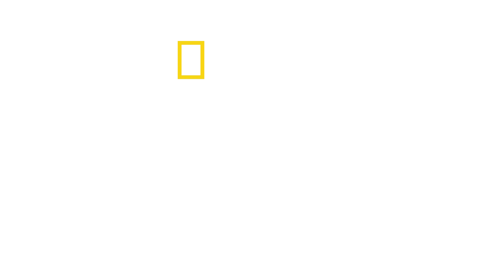 クジラと海洋生物たちの社会