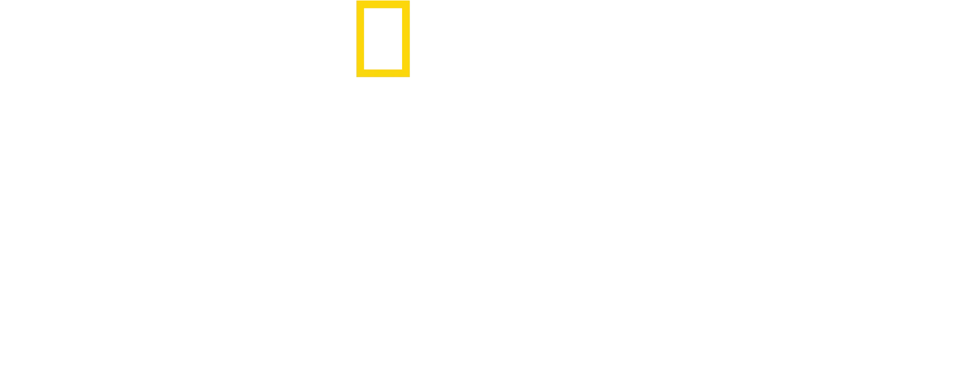 クジラと海洋生物たちの社会