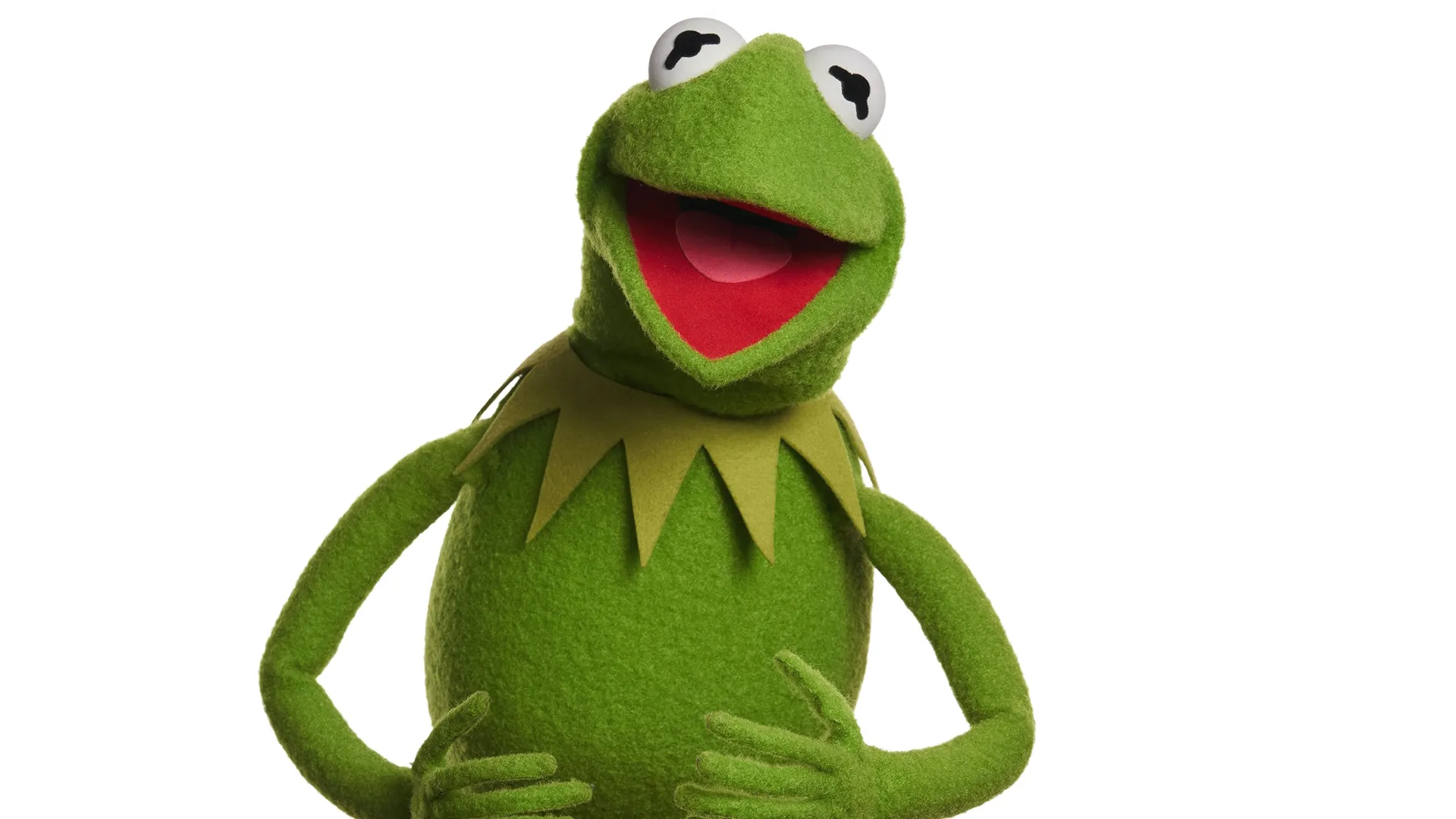 Kermit the Frog on a white background