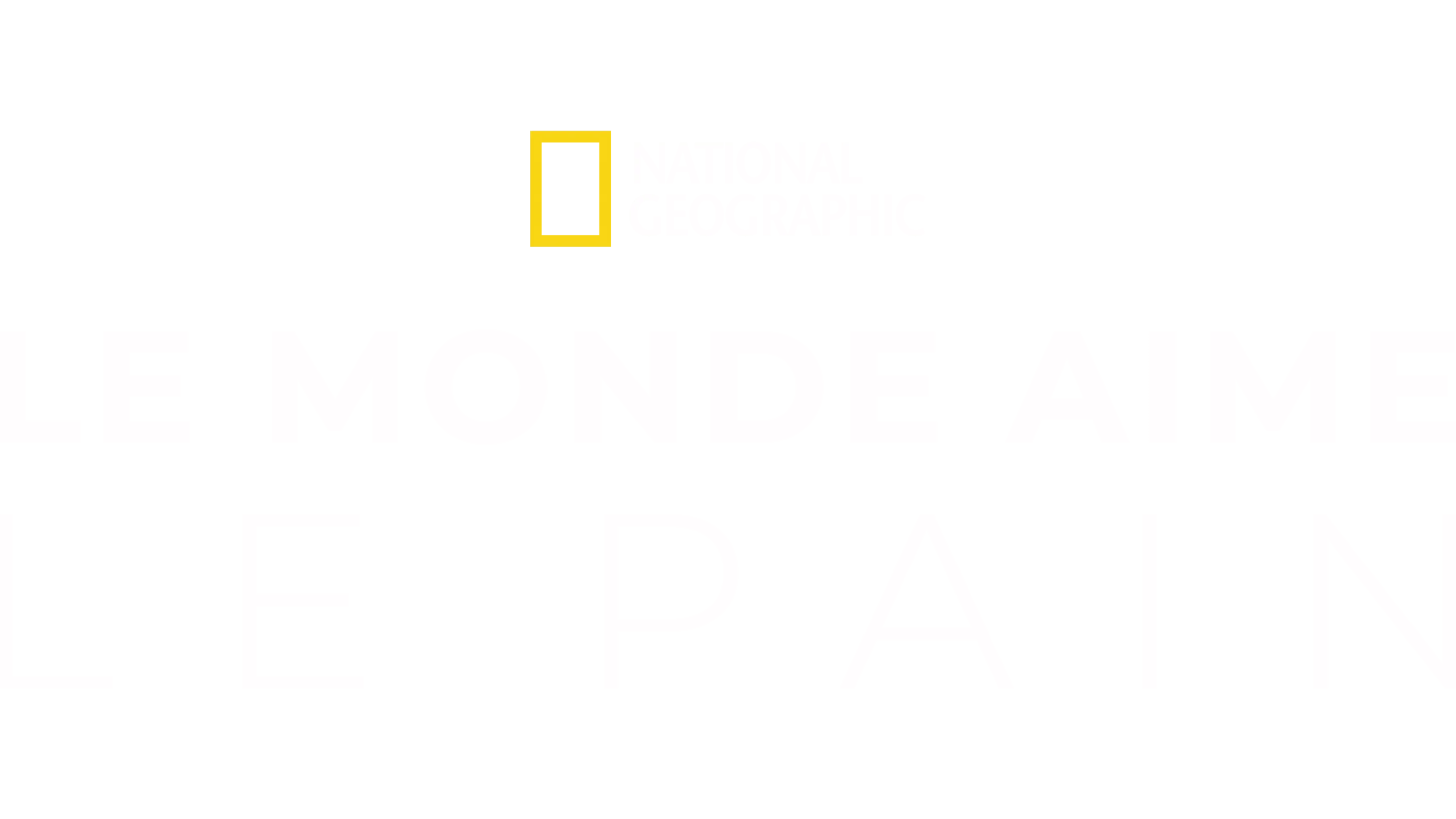 Le monde aime le pain