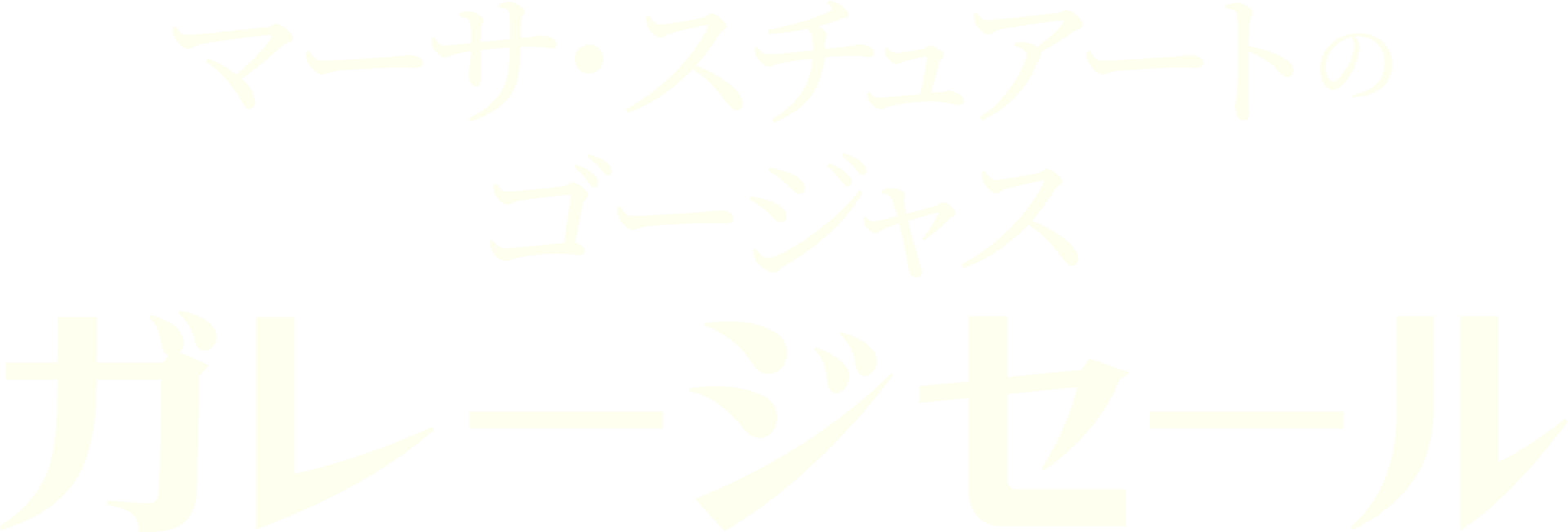 マーサ・スチュアートのゴージャス・ガレージセール