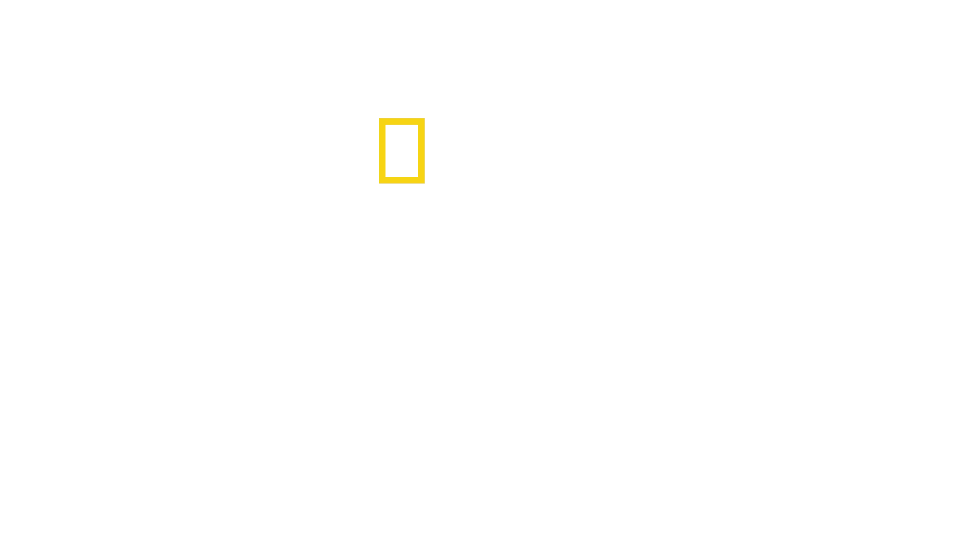 Secretos de los pulpos