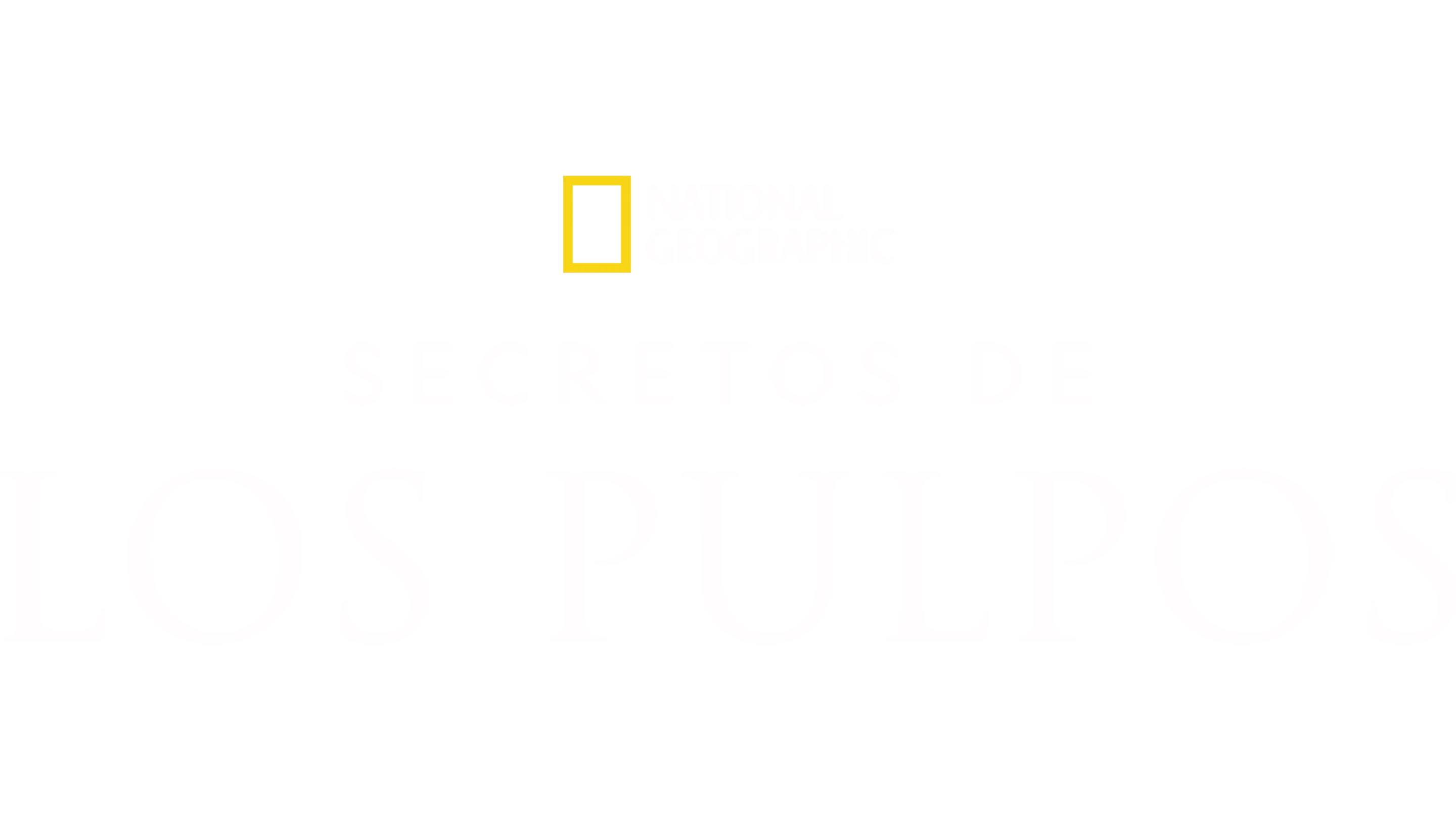 Secretos de los pulpos