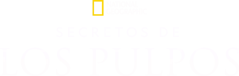 Secretos de los pulpos
