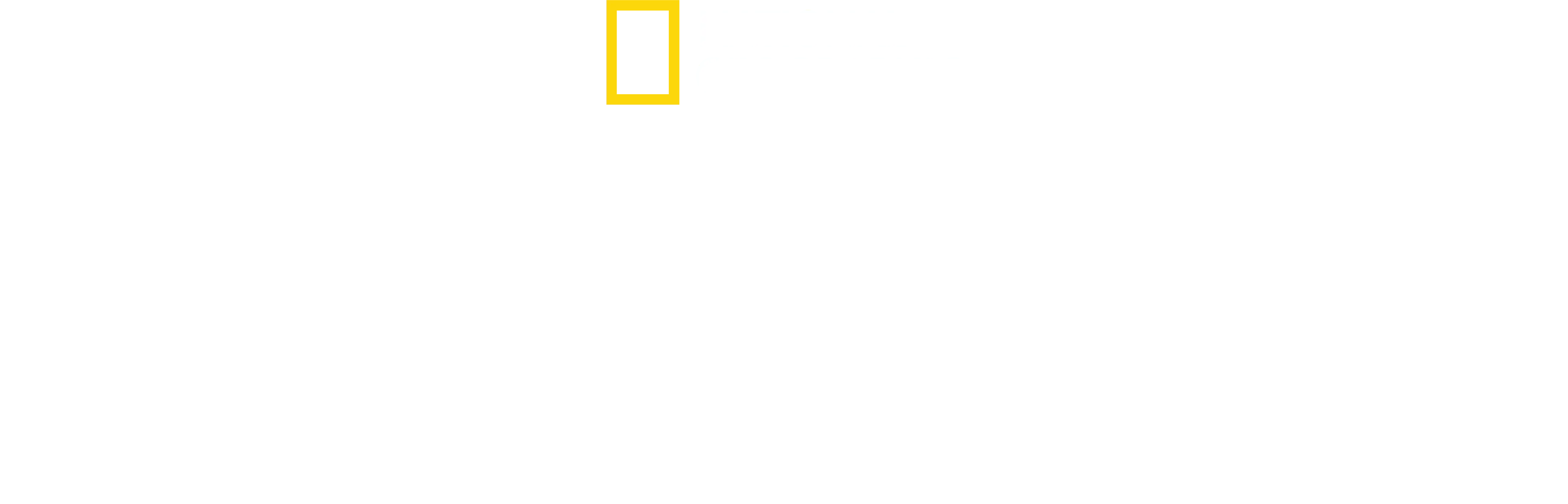 Secretos de los pulpos