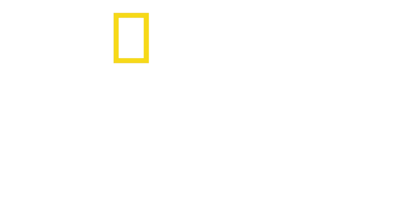 National Geographic: animali e natura