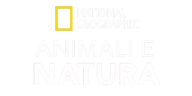 National Geographic: animali e natura