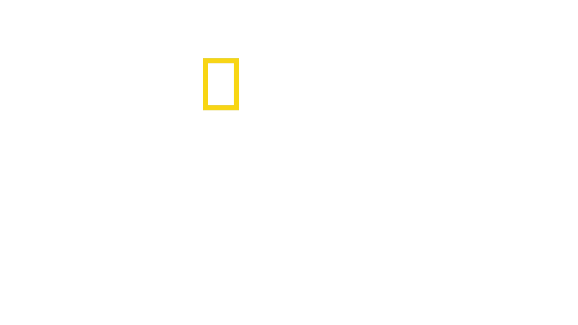 Lost Cities with Albert Lin