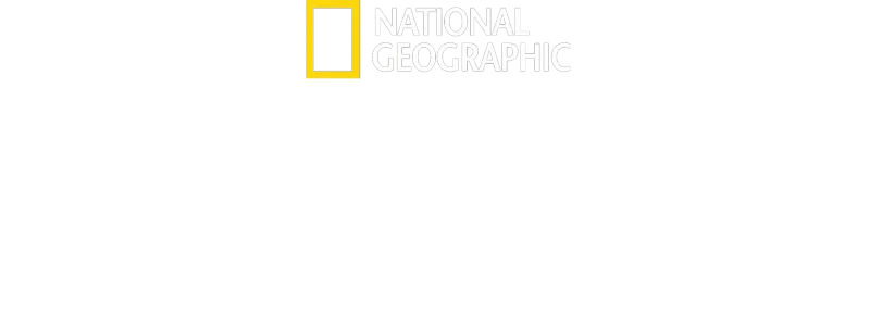Lost Cities with Albert Lin