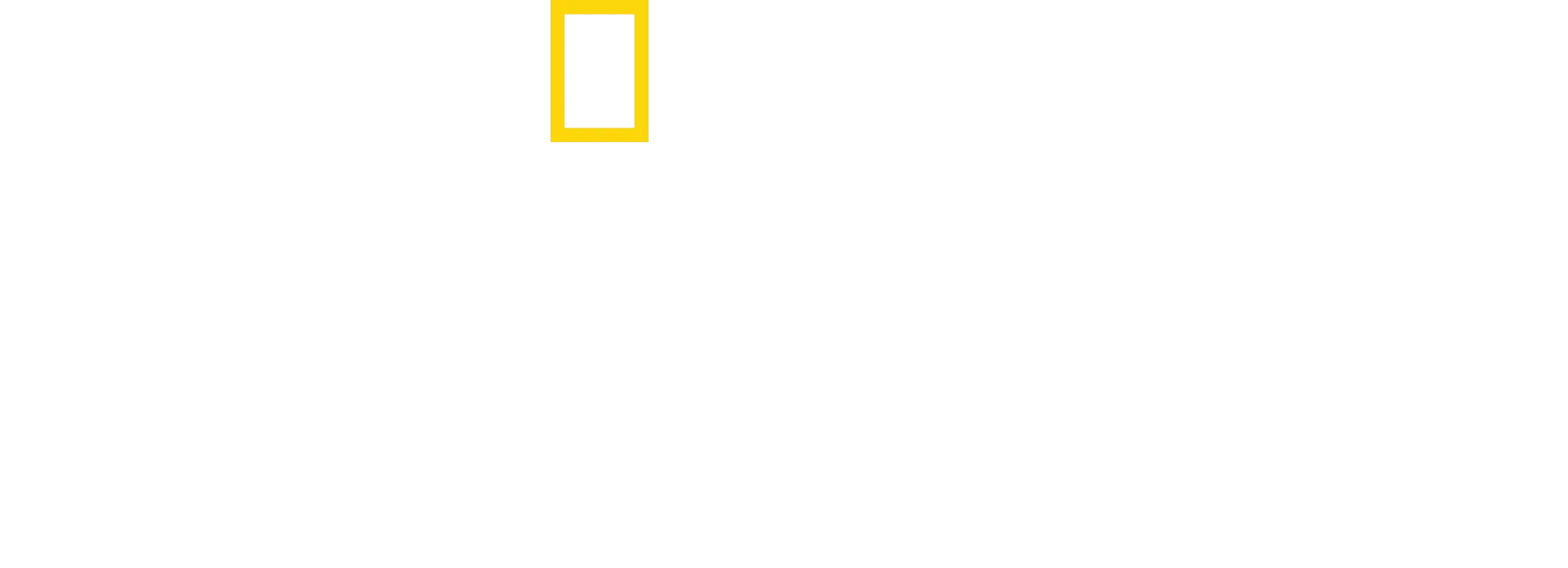 Lost Cities with Albert Lin