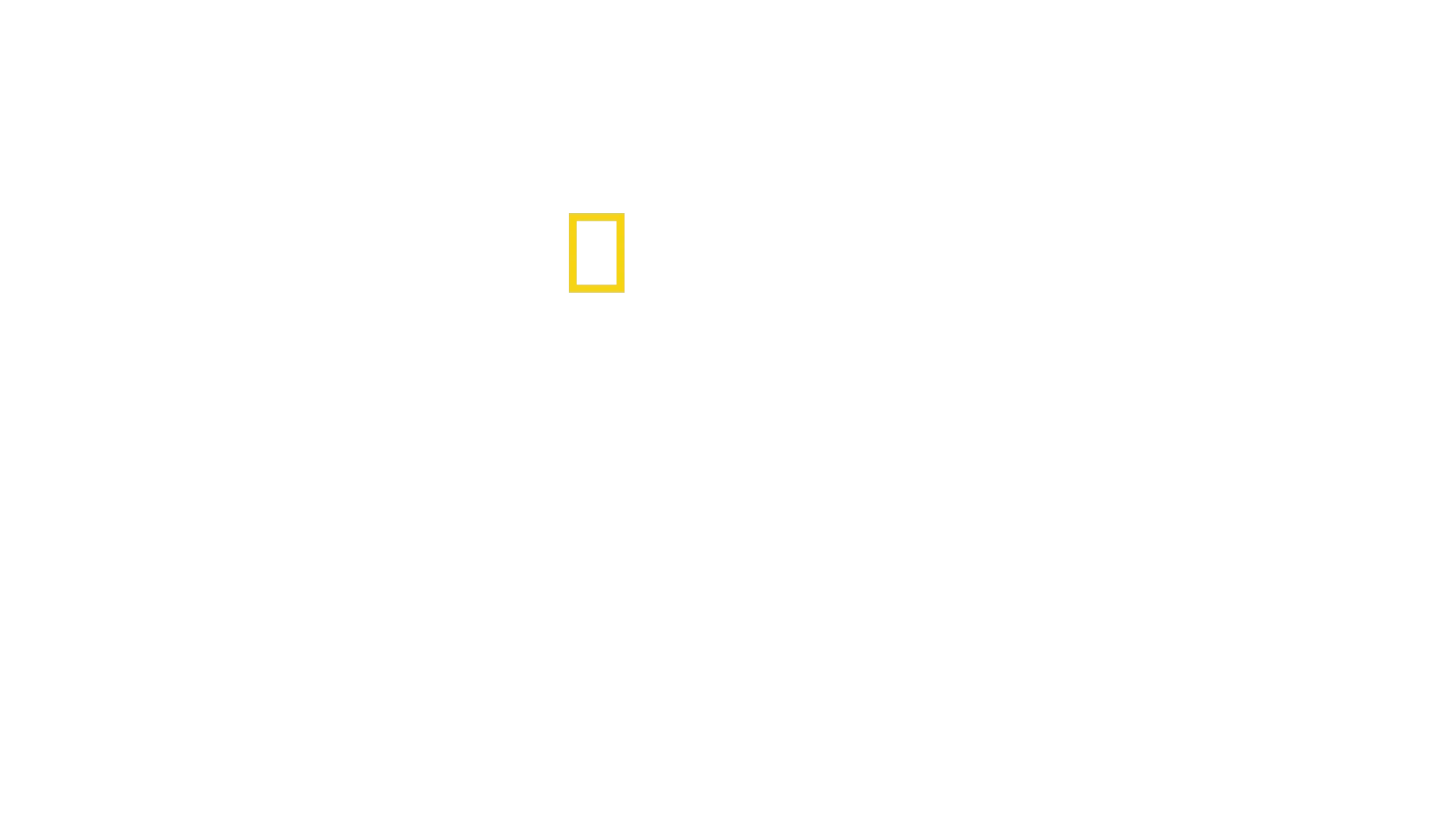 Hemmelighederne i Zoo