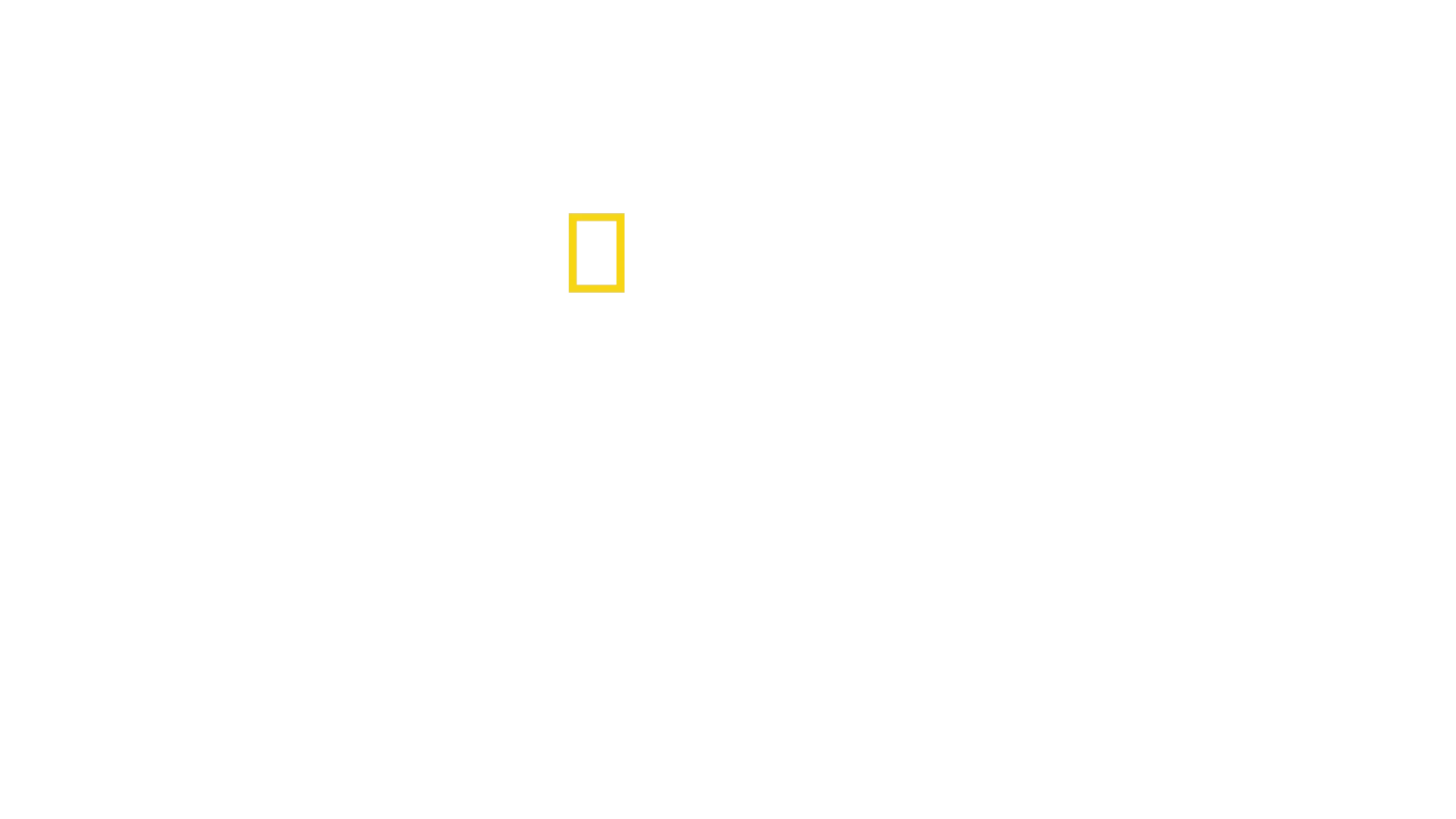 Hemmelighederne i Zoo
