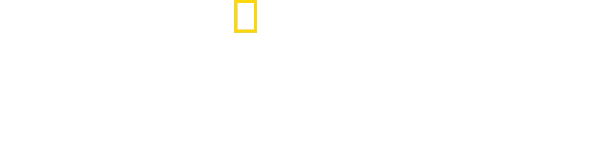 Secrets Of The Zoo