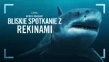 thumbnail - Bertie Gregory: bliskie spotkanie z rekinami