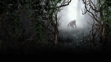 MonsterQuest: Chasing Bigfoot