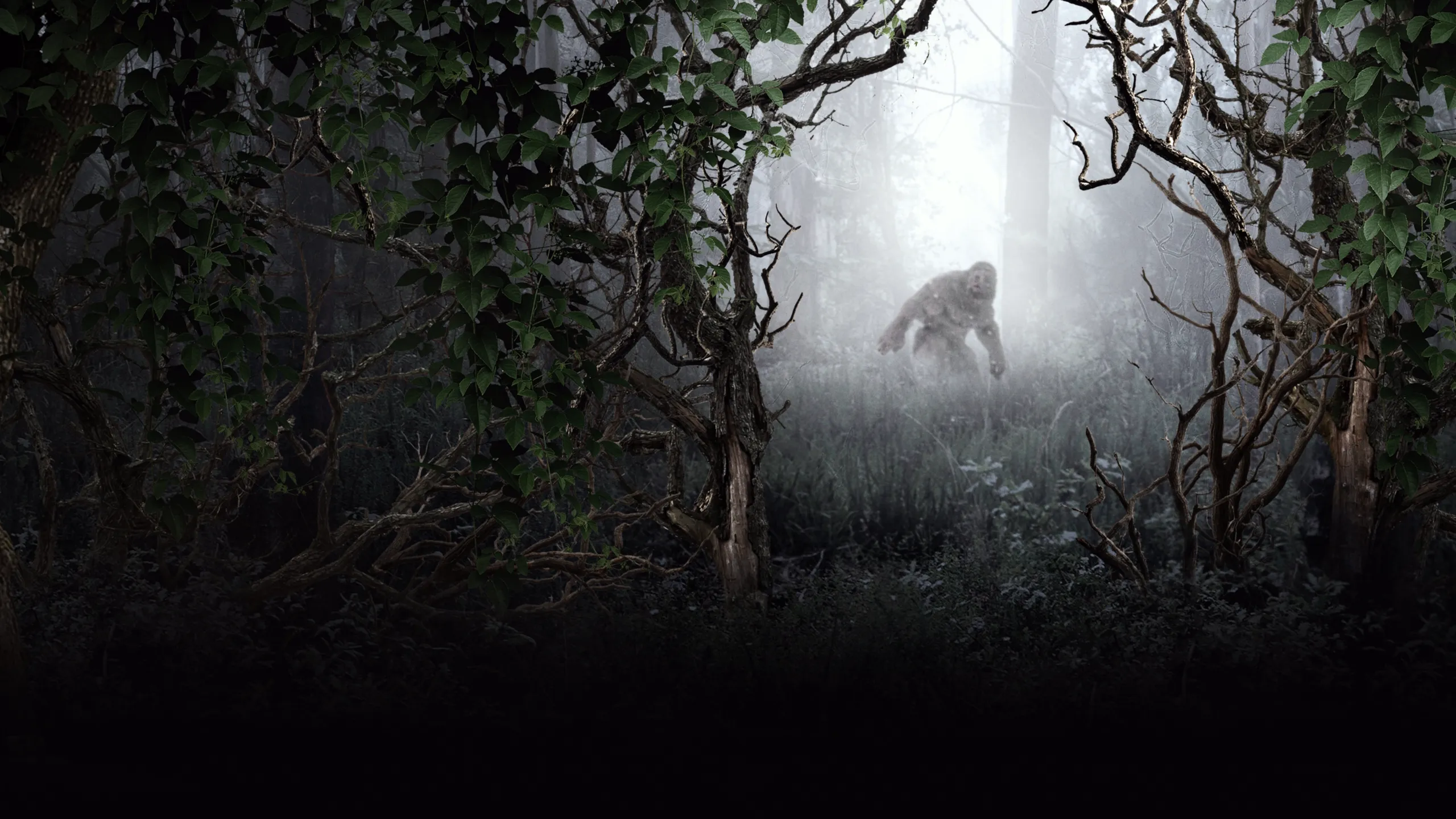 MonsterQuest: Chasing Bigfoot