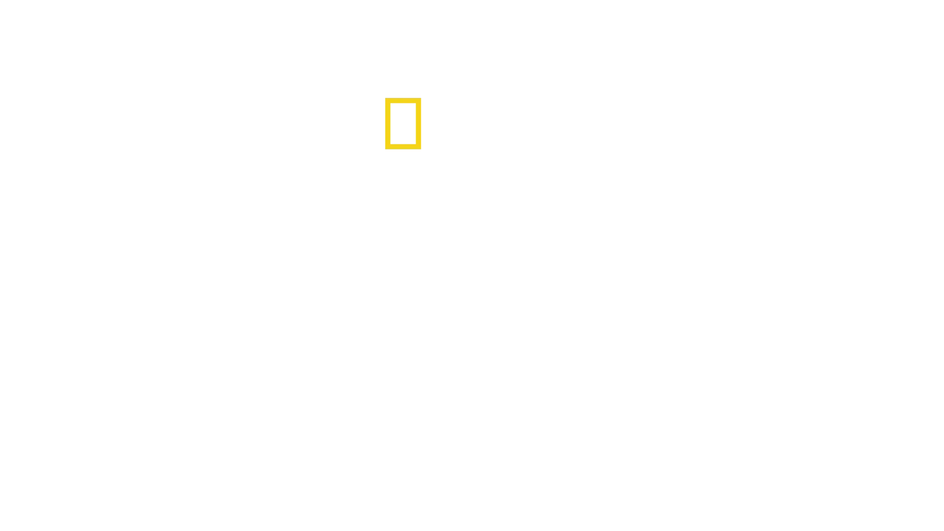Les cités perdues d'Albert Lin: l'arche de Noé