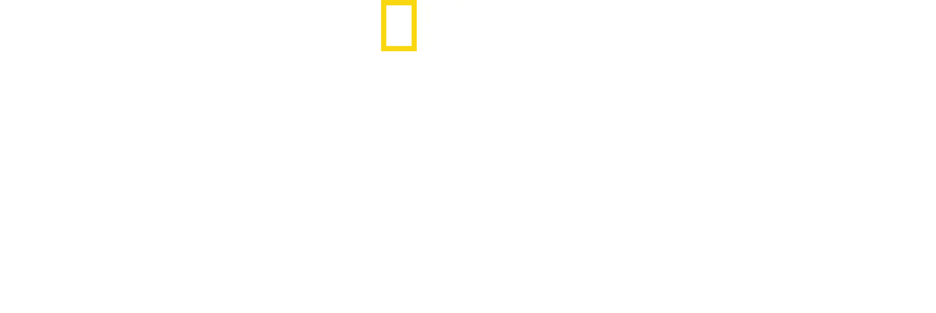Les cités perdues d'Albert Lin: l'arche de Noé