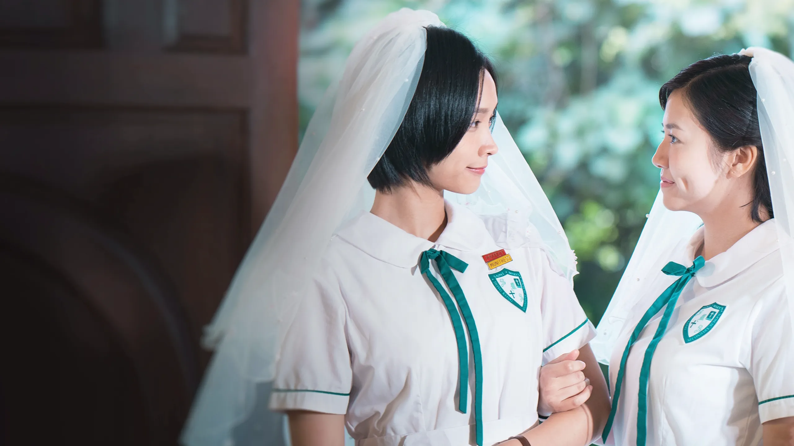 The First Girl I Loved