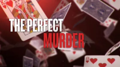 The Perfect Murder