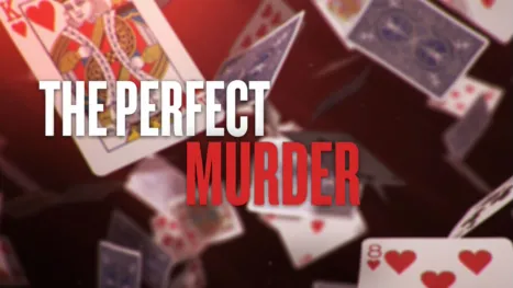 thumbnail - The Perfect Murder