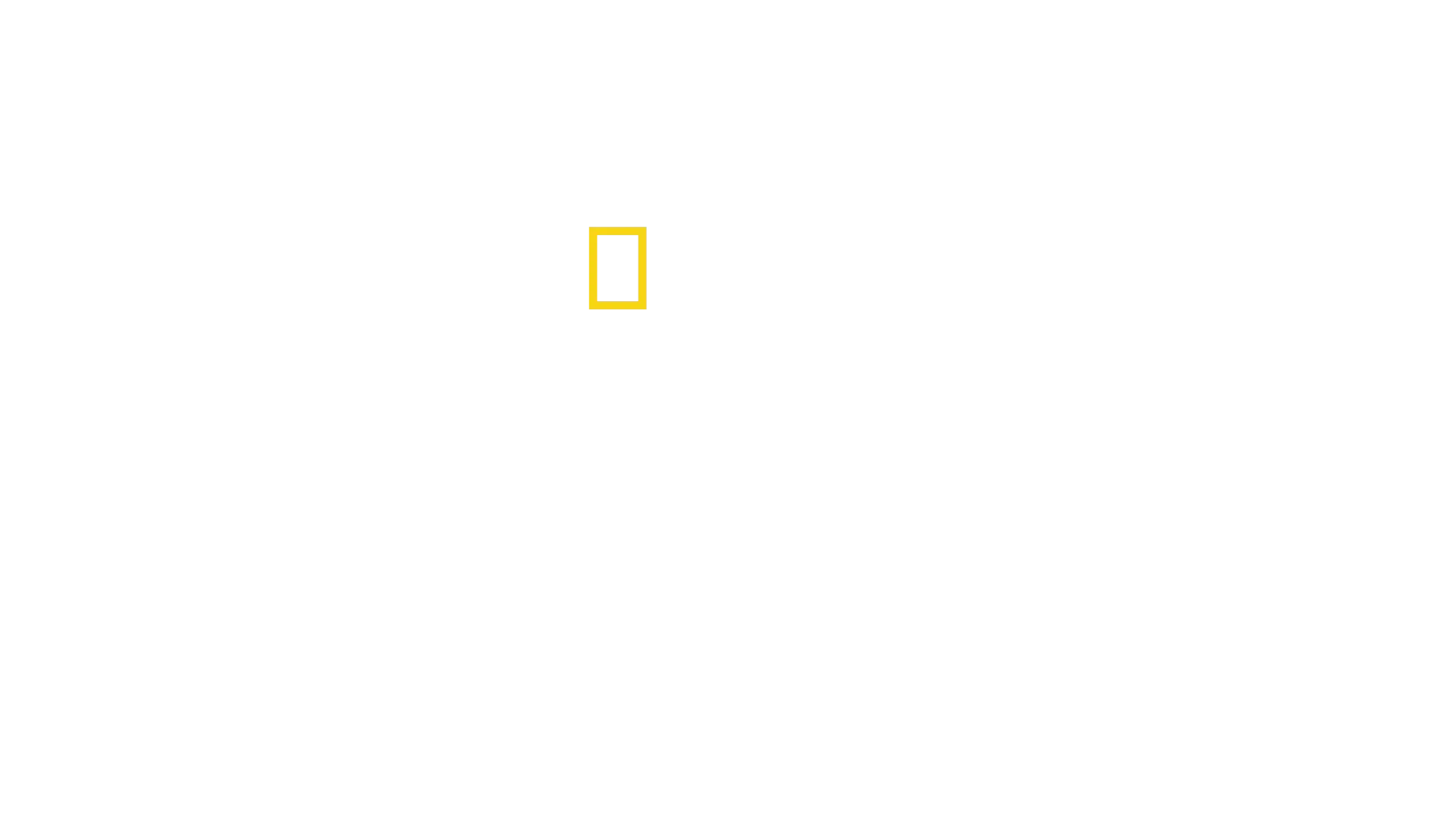 Διχασμένος