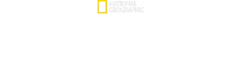 Διχασμένος