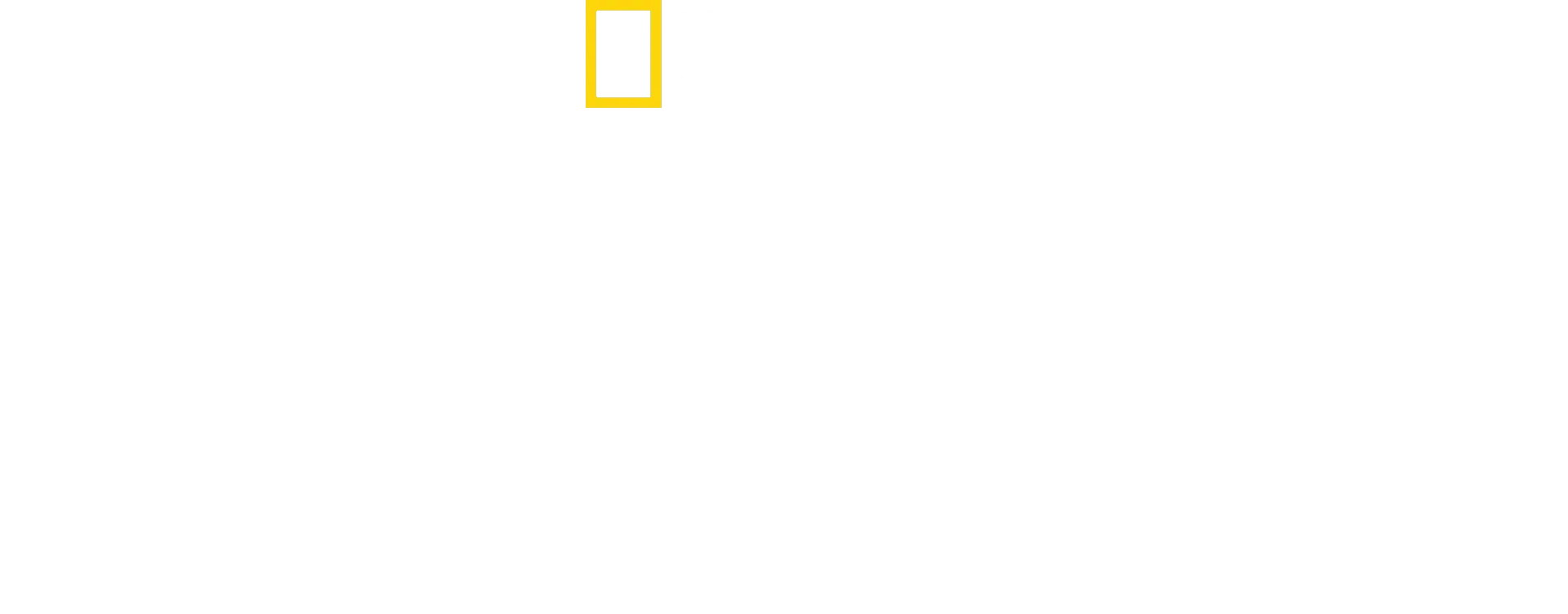 Puissa kiipeilevät leijonat