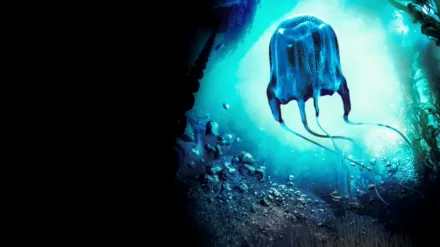 MonsterQuest: Deadly Jellyfish