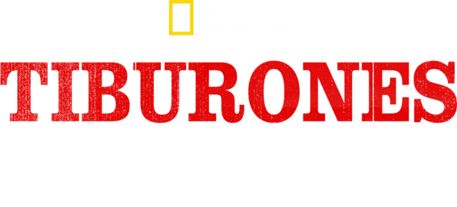Tiburones furiosos