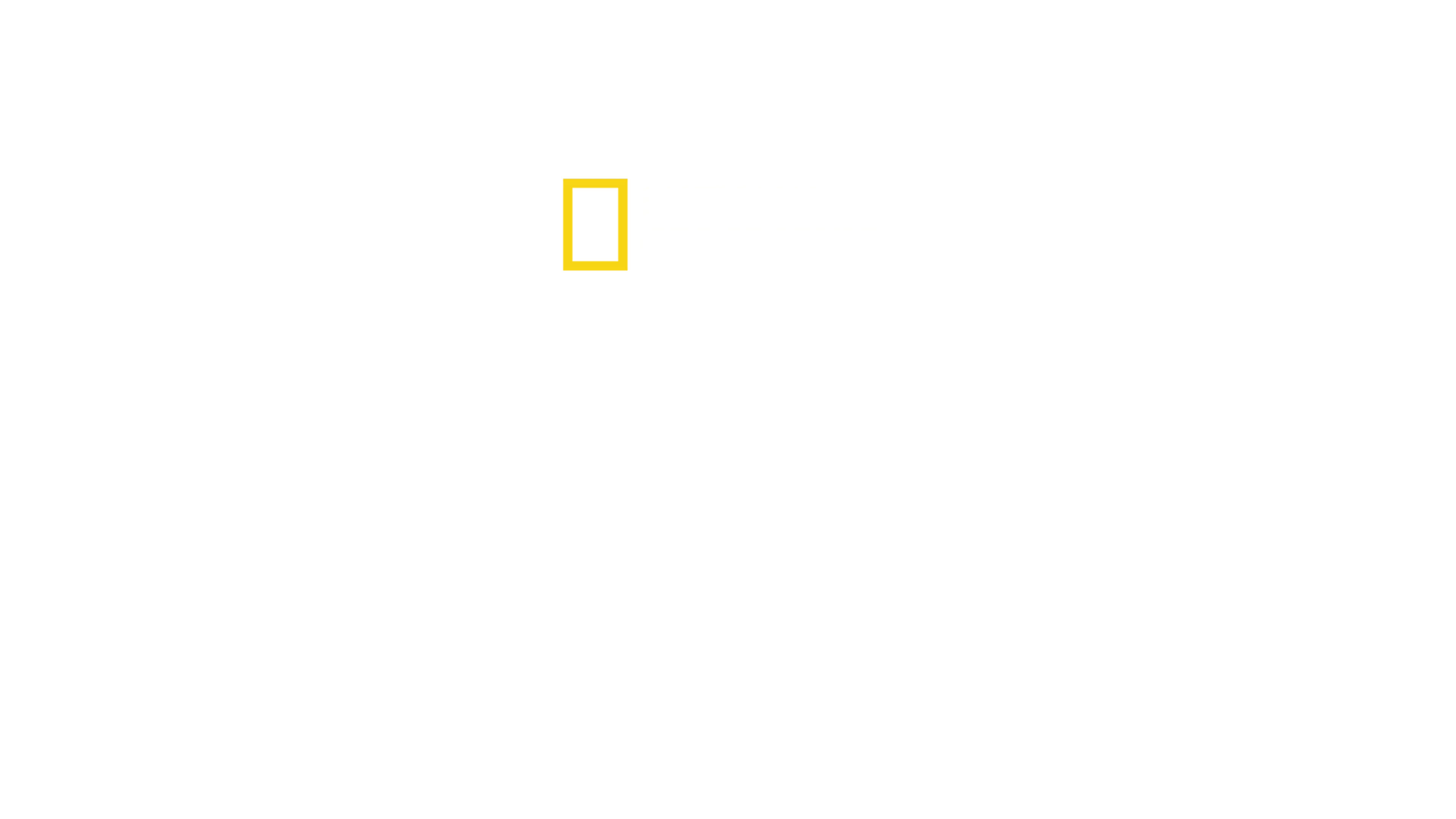 Nelítostné království